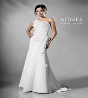 Agnes Collection  2013