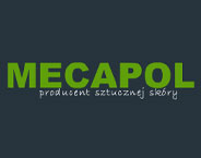 MECAPOL 