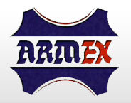 ARM-ex 